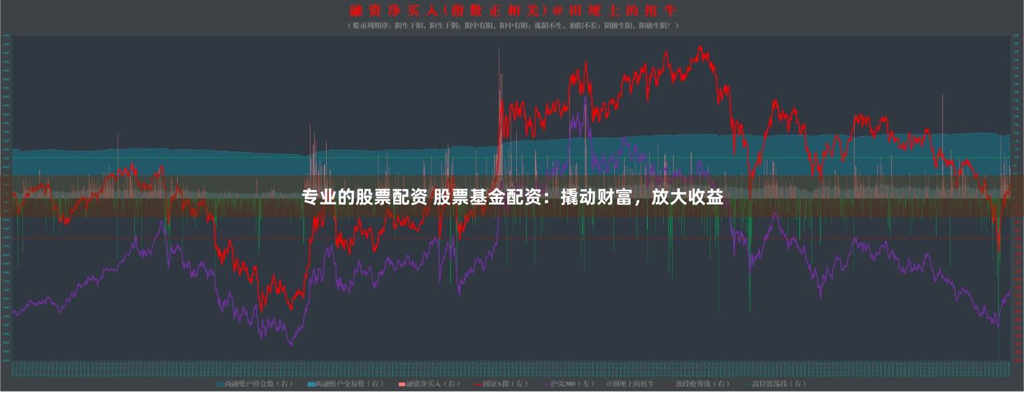专业的股票配资 股票基金配资：撬动财富，放大收益