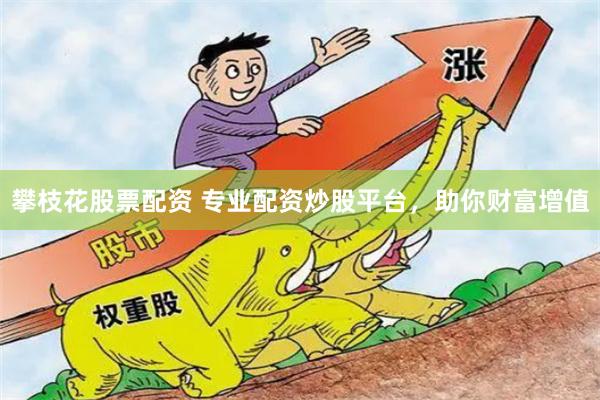 攀枝花股票配资 专业配资炒股平台，助你财富增值