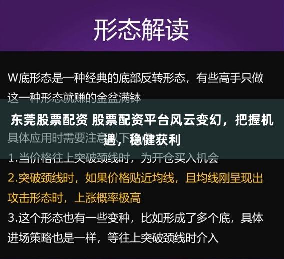 东莞股票配资 股票配资平台风云变幻，把握机遇，稳健获利